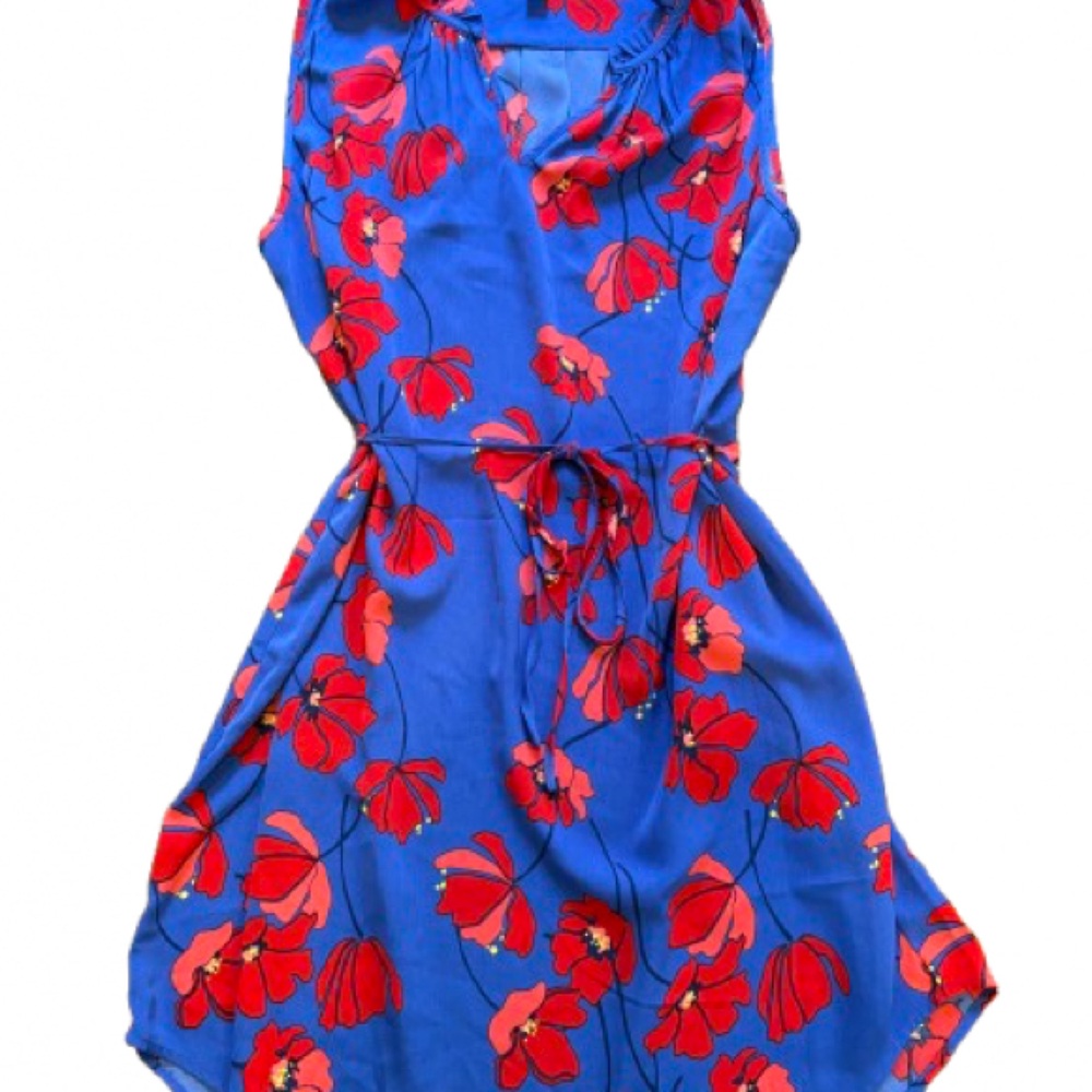 Market & Spruce Blue Dress with Red Floral Design